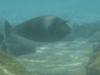 SunIsland0356
