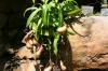 Australien2008 033
