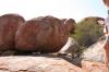 Australien2008 297